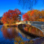 central park bridge