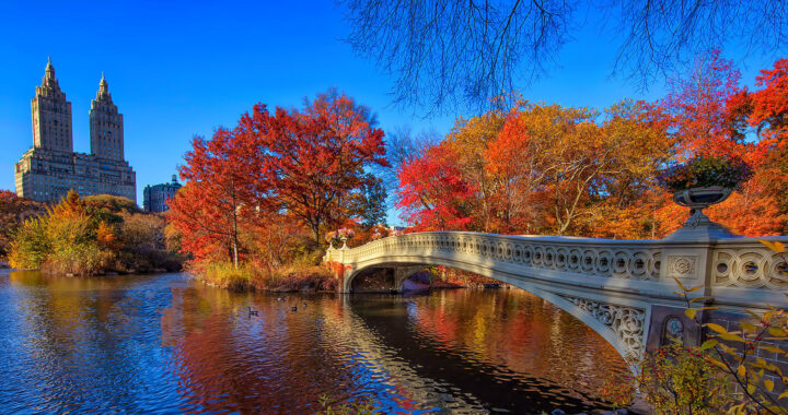 central park bridge