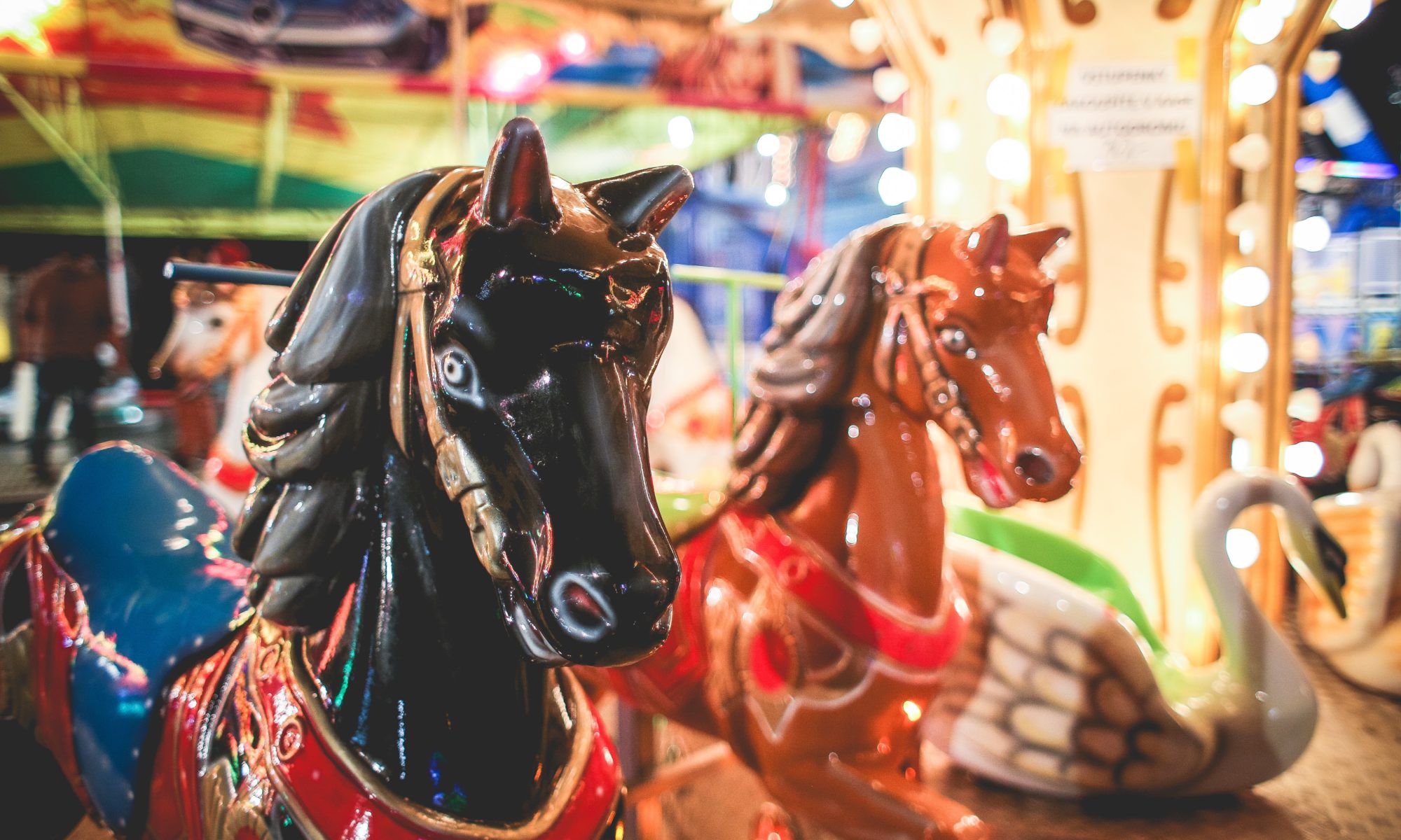 special needs nyc central park carousel